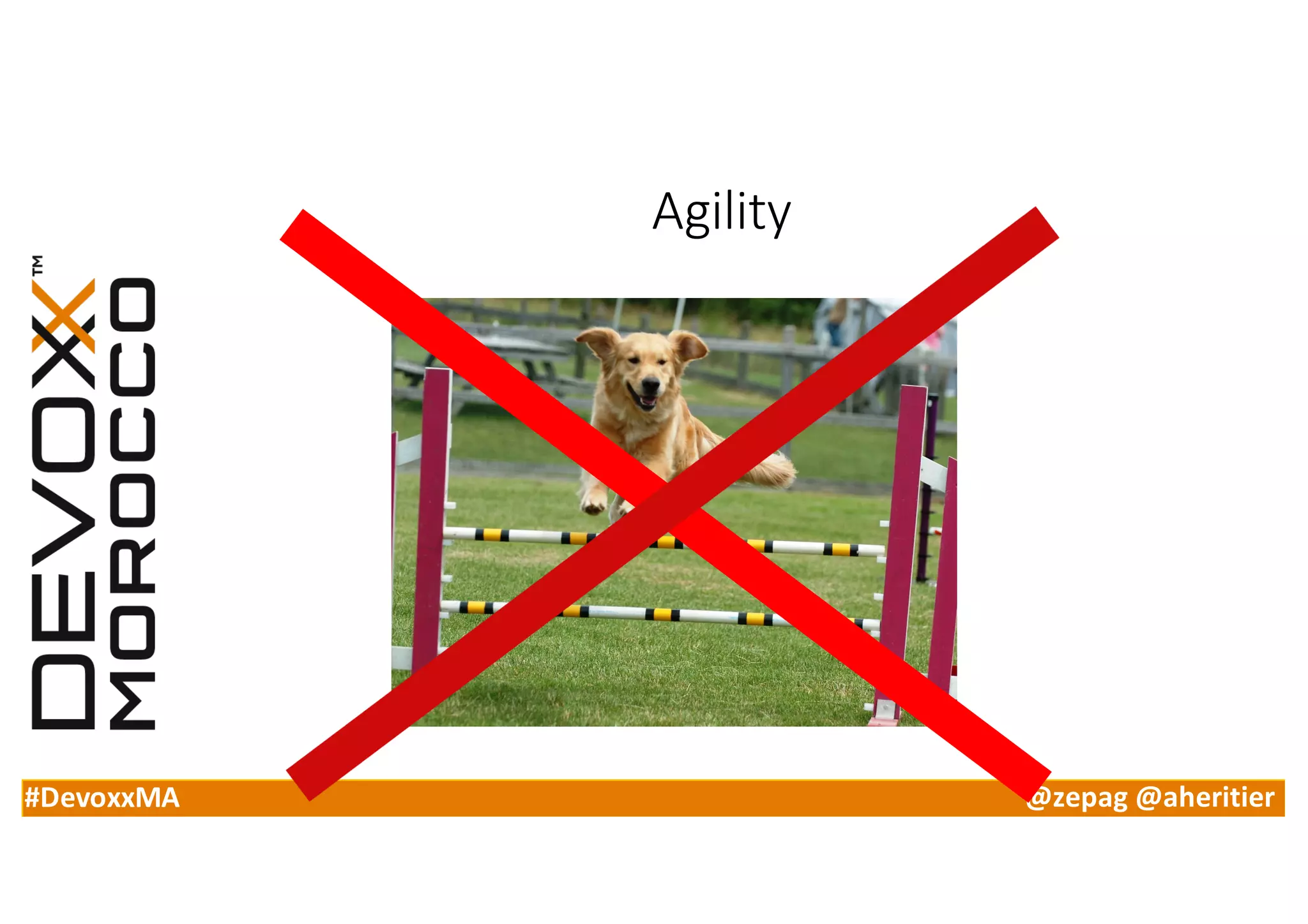 #DevoxxMA @zepag @aheritier
Agility
 