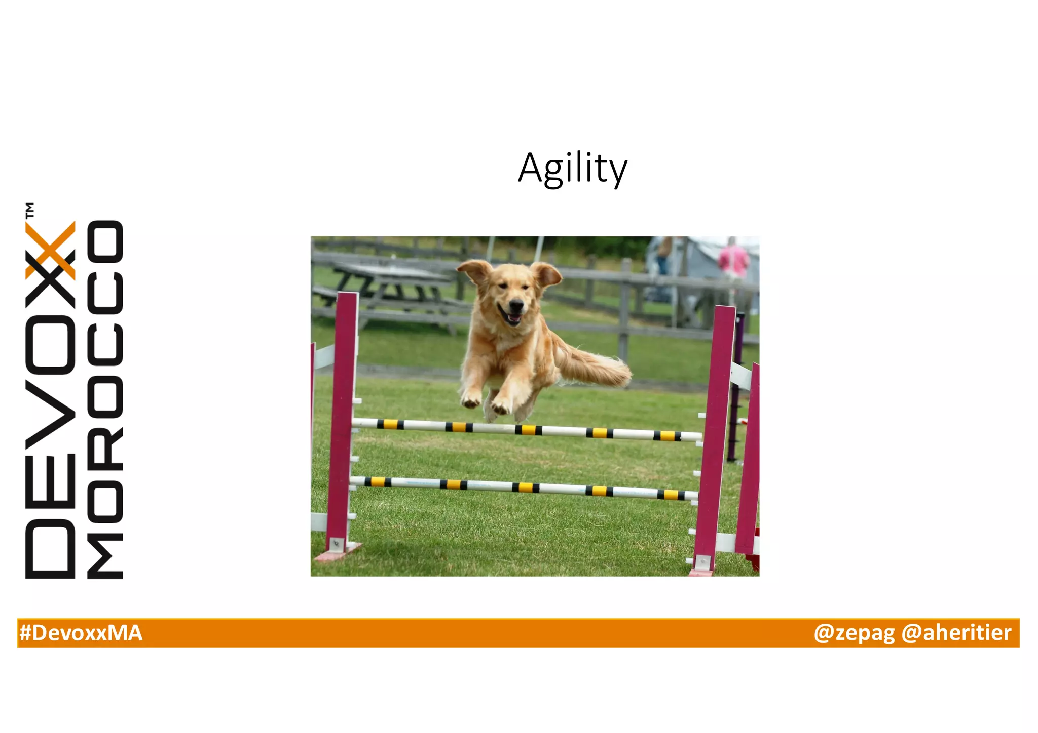 #DevoxxMA @zepag @aheritier
Agility
 