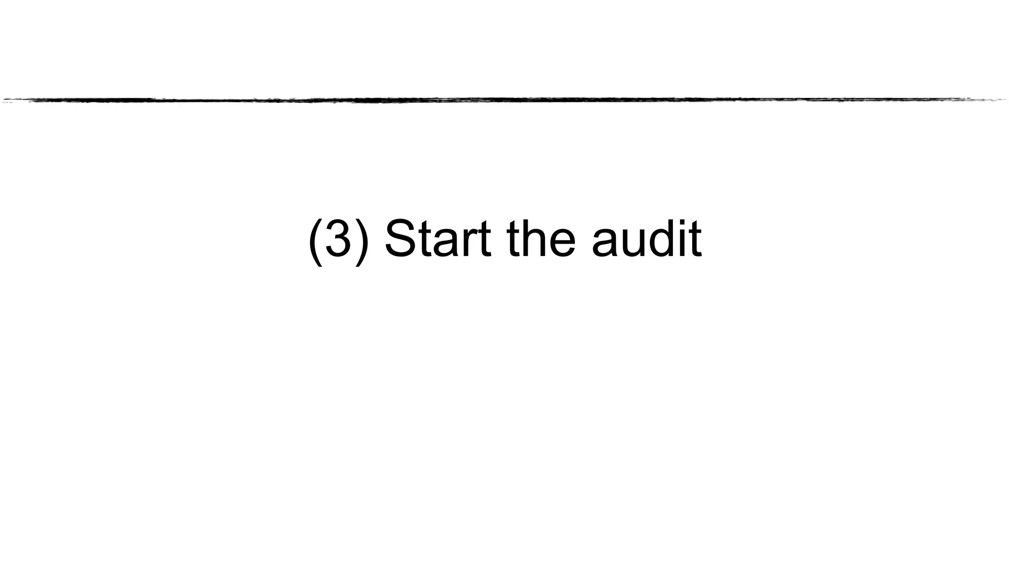 (3) Start the audit
 