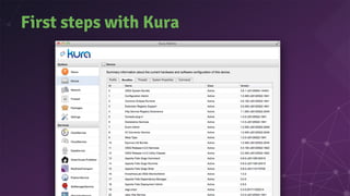 First steps with Kura
 