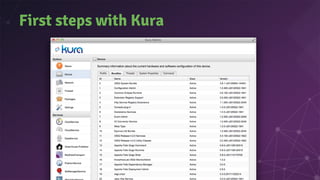 Your typical Kura component
● Uses Modbus, CAN-Bus, etc. built-in device
abstraction services
○ Or implement your own serv...
