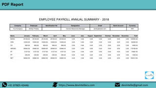 Employee Payroll Annually Summary Report | PPTX