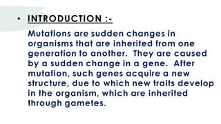 Dev Presentation | PPT