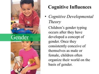 Gender
Cognitive Influences
• Cognitive Developmental
Theory
Children’s gender typing
occurs after they have
developed a concept of
gender. Once they
consistently conceive of
themselves as male or
female, children often
organize their world on the
basis of gender.
 