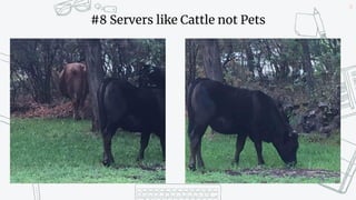 24
#8 Servers like Cattle not Pets
 