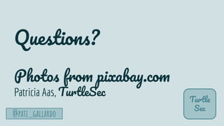 Turtle
Sec
Questions?
Photos from pixabay.com
Patricia Aas, TurtleSec
@pati_gallardo
 