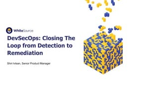 DevSecOps: Closing The
Loop from Detection to
Remediation
Shiri Ivtsan, Senior Product Manager
 