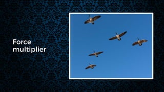 Force
multiplier
 