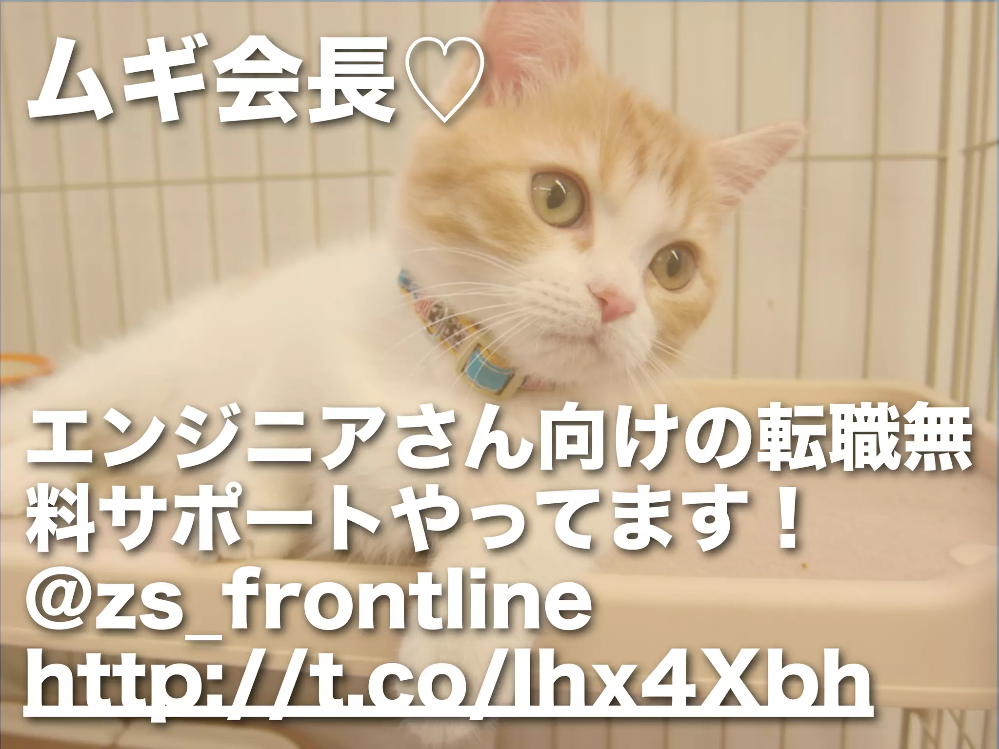 Devsumi2012 攻めの運用の極意