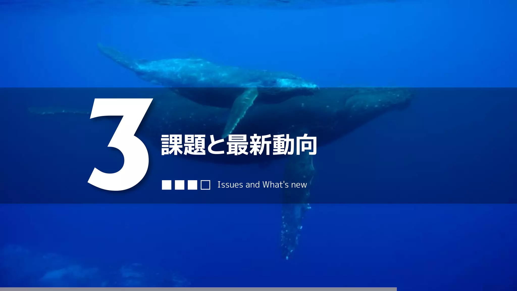 課題と最新動向
3■■■□ Issues and What's new
 