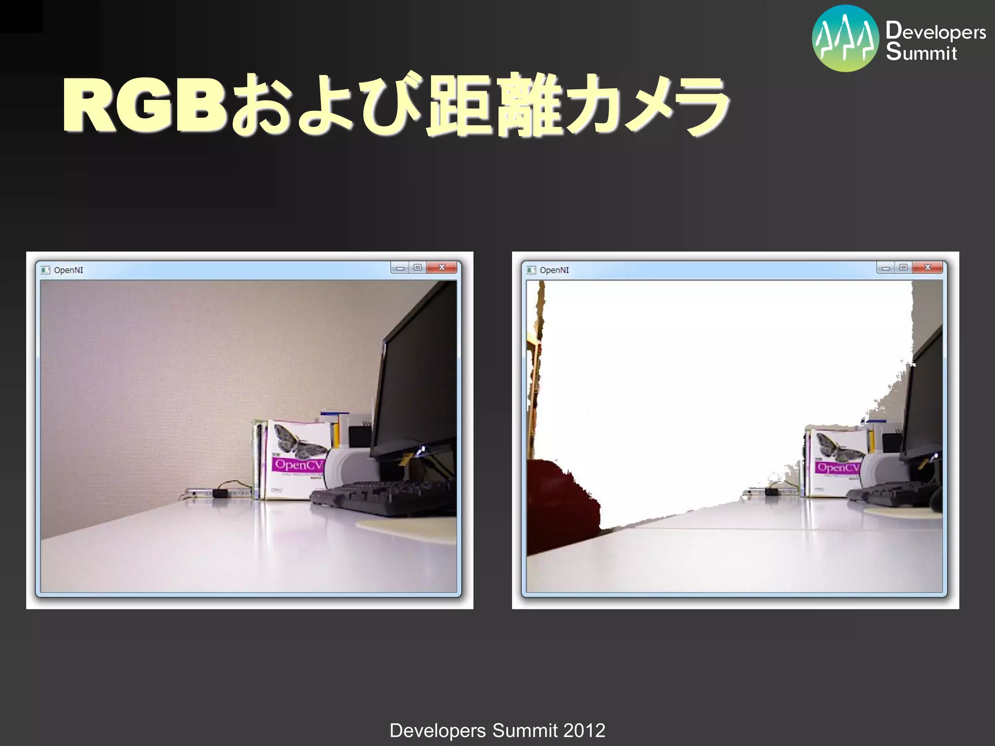 RGBおよび距離カメラ




     Developers Summit 2012
 