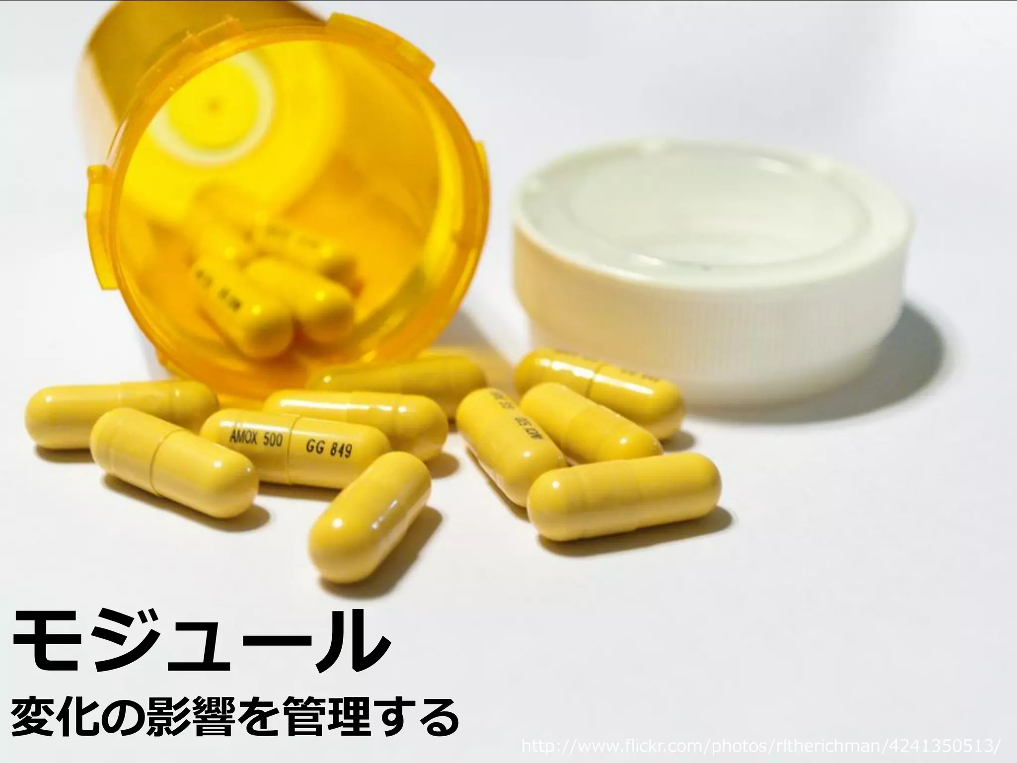 モジュール
変化の影響を管理する   Developers Summit 2010                            38
             http://www.flickr.com/photos/rltherichman/4241350513/
 