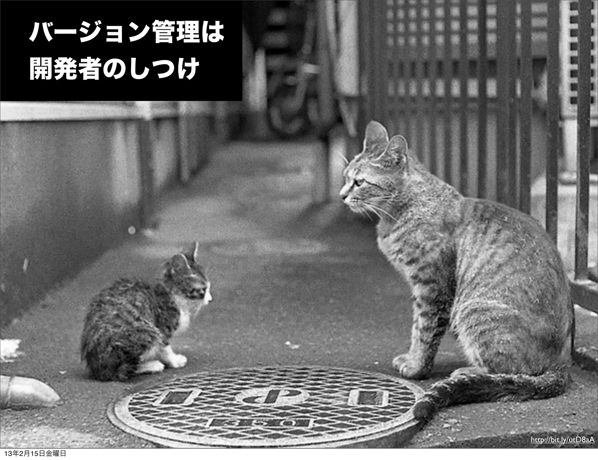 バージョン管理は
    開発者のしつけ




               http://bit.ly/utD8aA
13年2月15日金曜日
 