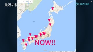 最近の移動状況
NOW!!
★
 