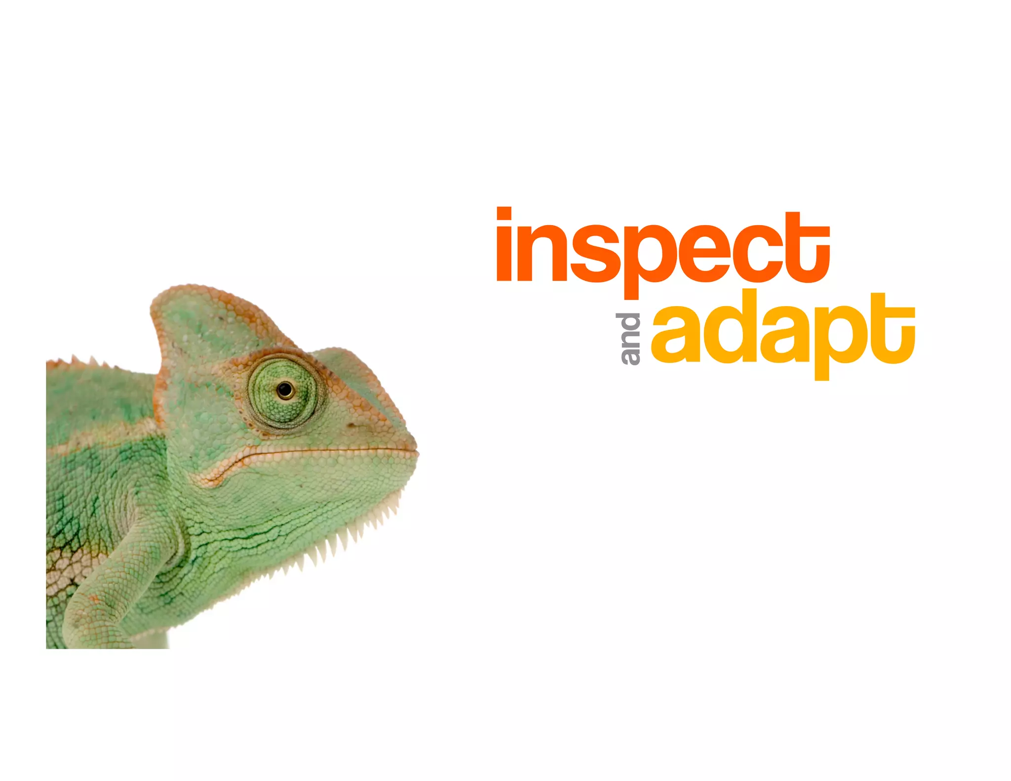 Introduction to Agile Practices