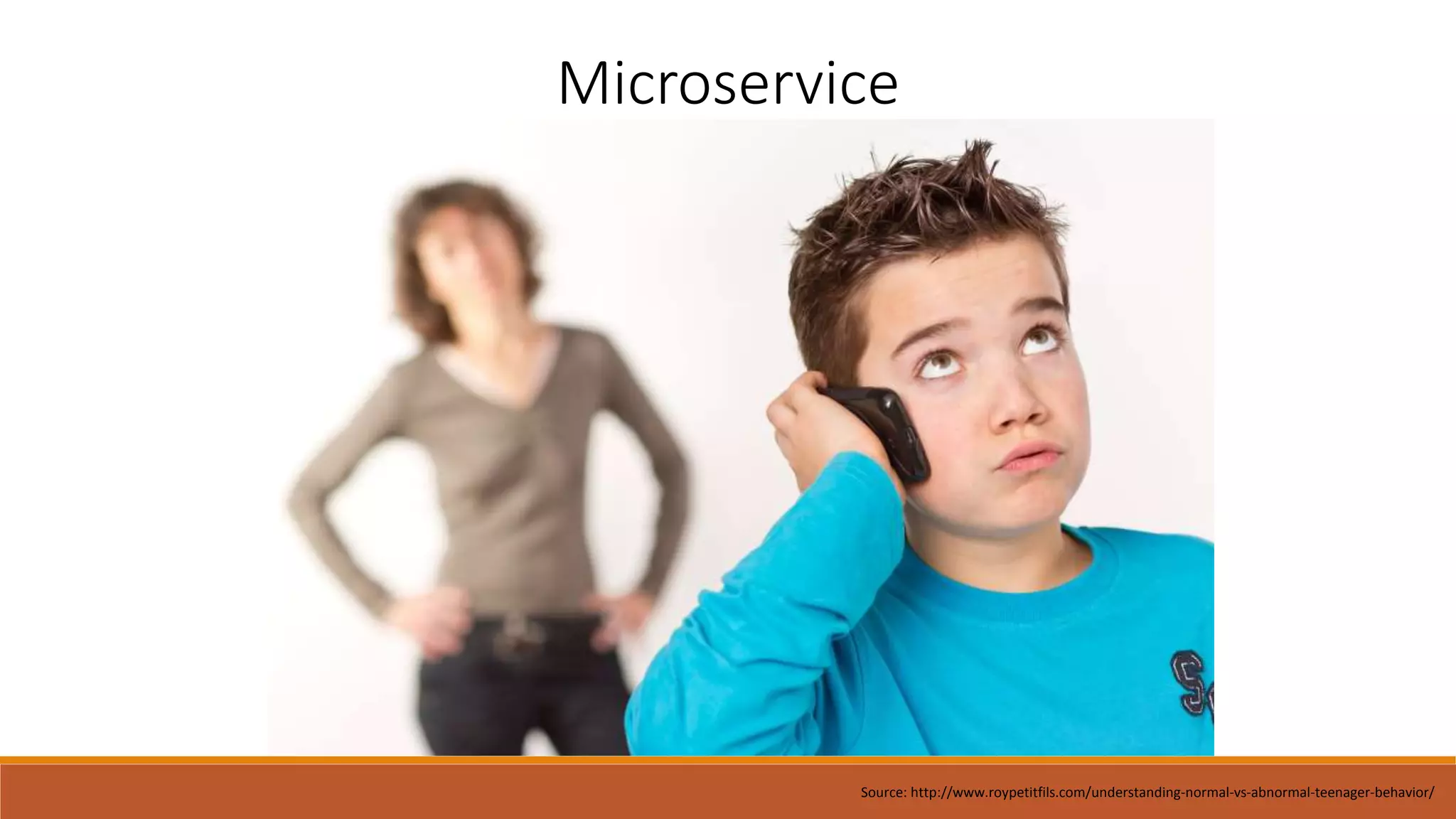 Microservice
Source: http://www.roypetitfils.com/understanding-normal-vs-abnormal-teenager-behavior/
 