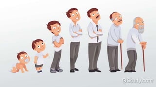 What Is Development Task Developmental Tasks | PPTX