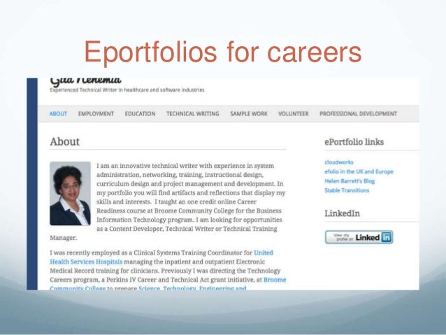 professional e portfolio examples professional portfolio examples