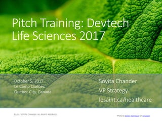 Pitch Training: Devtech
Life Sciences 2017
Sovita Chander
VP Strategy
lesaint.ca/healthcare
October 5, 2017
Le Camp Québec
Quebec City, Canada
Photo by Stefan Steinbauer on Unsplash
 