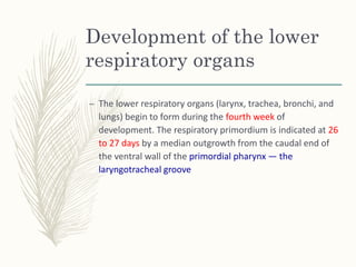 Devt of resp syst.ppt