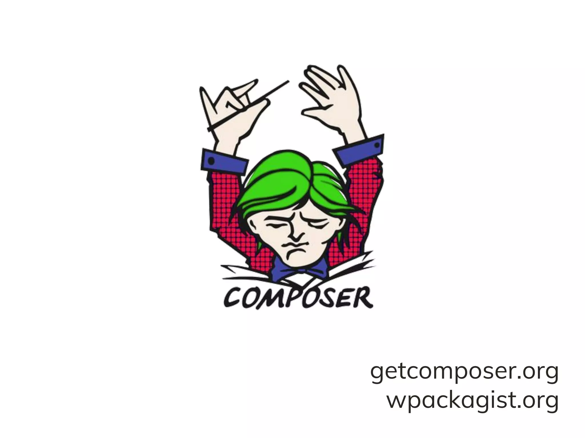 getcomposer.org
wpackagist.org