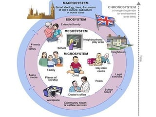 Comprehensive Overview of Human Development and Developmental ...
