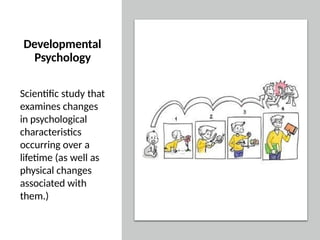 Comprehensive Overview of Human Development and Developmental ...