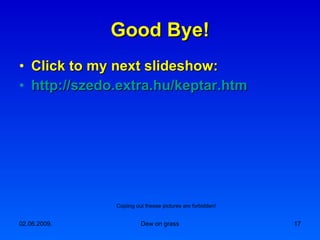 Good Bye! Click to my next slideshow: http:// szedo.extra.hu / keptar.htm Copiing out theese pictures are forbidden!