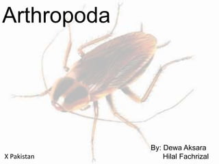 Arthropoda
By: Dewa Aksara
Hilal FachrizalX Pakistan
 