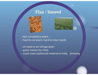 Dewavrin Oil Seed Production