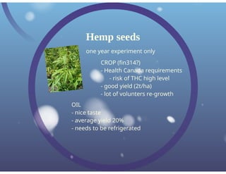 Dewavrin Oil Seed Production