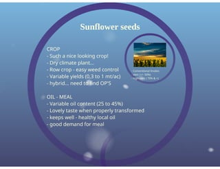 Dewavrin Oil Seed Production