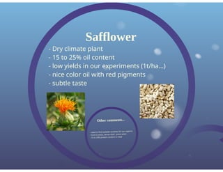 Dewavrin Oil Seed Production