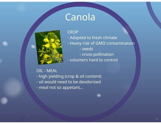 Dewavrin Oil Seed Production