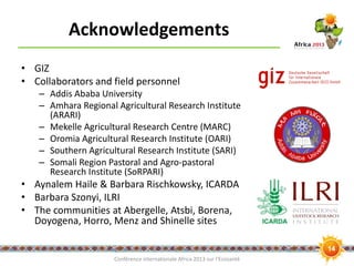 An integrated approach to assessing and improving meat and milk safety and nutrition in the Ethiopian sheep and goat value chain