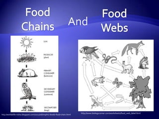 And




                                                                              http://www.biologycorner.com/worksheets/food_web_label.html
http://worldslife-nisha.blogspot.com/2011/06/trophic-levels-food-chain.html
 