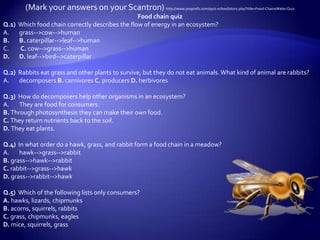 (Mark your answers on your Scantron) http://www.proprofs.com/quiz-school/story.php?title=Food-ChainsWebs-Quiz
                                                 Food chain quiz
Q.1) Which food chain correctly describes the flow of energy in an ecosystem?
A.   grass-->cow-->human
B. B. caterpillar-->leaf-->human
C.   C. cow-->grass-->human
D. D. leaf-->bird-->caterpillar

Q.2) Rabbits eat grass and other plants to survive, but they do not eat animals. What kind of animal are rabbits?
A.   decomposers B. carnivores C. producers D. herbivores

Q.3) How do decomposers help other organisms in an ecosystem?
A.    They are food for consumers.
B. Through photosynthesis they can make their own food.
C. They return nutrients back to the soil.
D. They eat plants.

Q.4) In what order do a hawk, grass, and rabbit form a food chain in a meadow?
A.    hawk-->grass-->rabbit
B. grass-->hawk-->rabbit
C. rabbit-->grass-->hawk
D. grass-->rabbit-->hawk

Q.5) Which of the following lists only consumers?
A. hawks, lizards, chipmunks
B. acorns, squirrels, rabbits
C. grass, chipmunks, eagles
D. mice, squirrels, grass
 