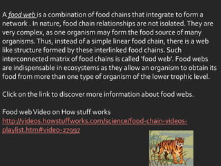 A food web is a combination of food chains that integrate to form a
network . In nature, food chain relationships are not isolated. They are
very complex, as one organism may form the food source of many
organisms. Thus, instead of a simple linear food chain, there is a web
like structure formed by these interlinked food chains. Such
interconnected matrix of food chains is called 'food web'. Food webs
are indispensable in ecosystems as they allow an organism to obtain its
food from more than one type of organism of the lower trophic level.

Click on the link to discover more information about food webs.

Food web Video on How stuff works
http://videos.howstuffworks.com/science/food-chain-videos-
playlist.htm#video-27997
 