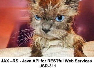 JAX –RS - Java API for RESTful Web Services
                  JSR-311
 