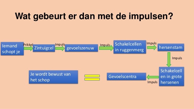 De weg die impulsen afleggen h3