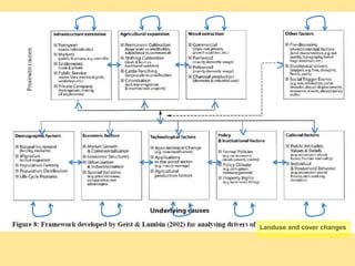 Identifying Policy Levers Of Deforestation  and Recovery Of Tree Cover From The Driver Analyses: A Case Study From Indonesia