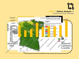 Identifying Policy Levers Of Deforestation  and Recovery Of Tree Cover From The Driver Analyses: A Case Study From Indonesia