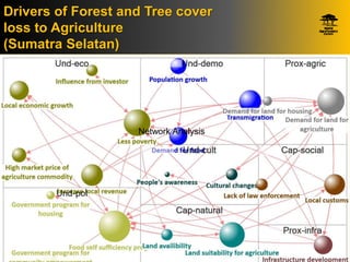 Identifying Policy Levers Of Deforestation  and Recovery Of Tree Cover From The Driver Analyses: A Case Study From Indonesia