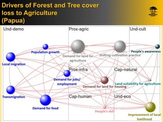 Identifying Policy Levers Of Deforestation  and Recovery Of Tree Cover From The Driver Analyses: A Case Study From Indonesia
