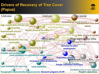 Identifying Policy Levers Of Deforestation  and Recovery Of Tree Cover From The Driver Analyses: A Case Study From Indonesia