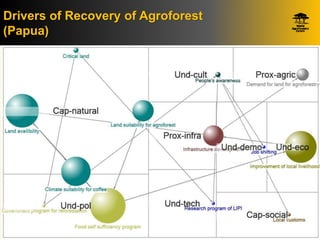 Identifying Policy Levers Of Deforestation  and Recovery Of Tree Cover From The Driver Analyses: A Case Study From Indonesia