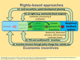 Identifying Policy Levers Of Deforestation  and Recovery Of Tree Cover From The Driver Analyses: A Case Study From Indonesia