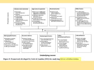 Identifying Policy Levers Of Deforestation  and Recovery Of Tree Cover From The Driver Analyses: A Case Study From Indonesia