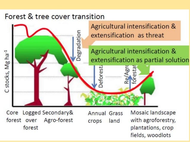 Deforestation influence picture