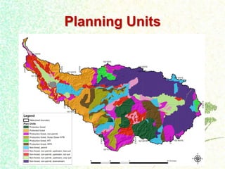 Dewi Luwes for nama Indonesia july 2012